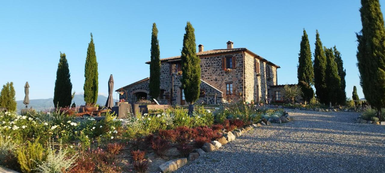 Casa Al Maestro B&B Radicofani Bagian luar foto