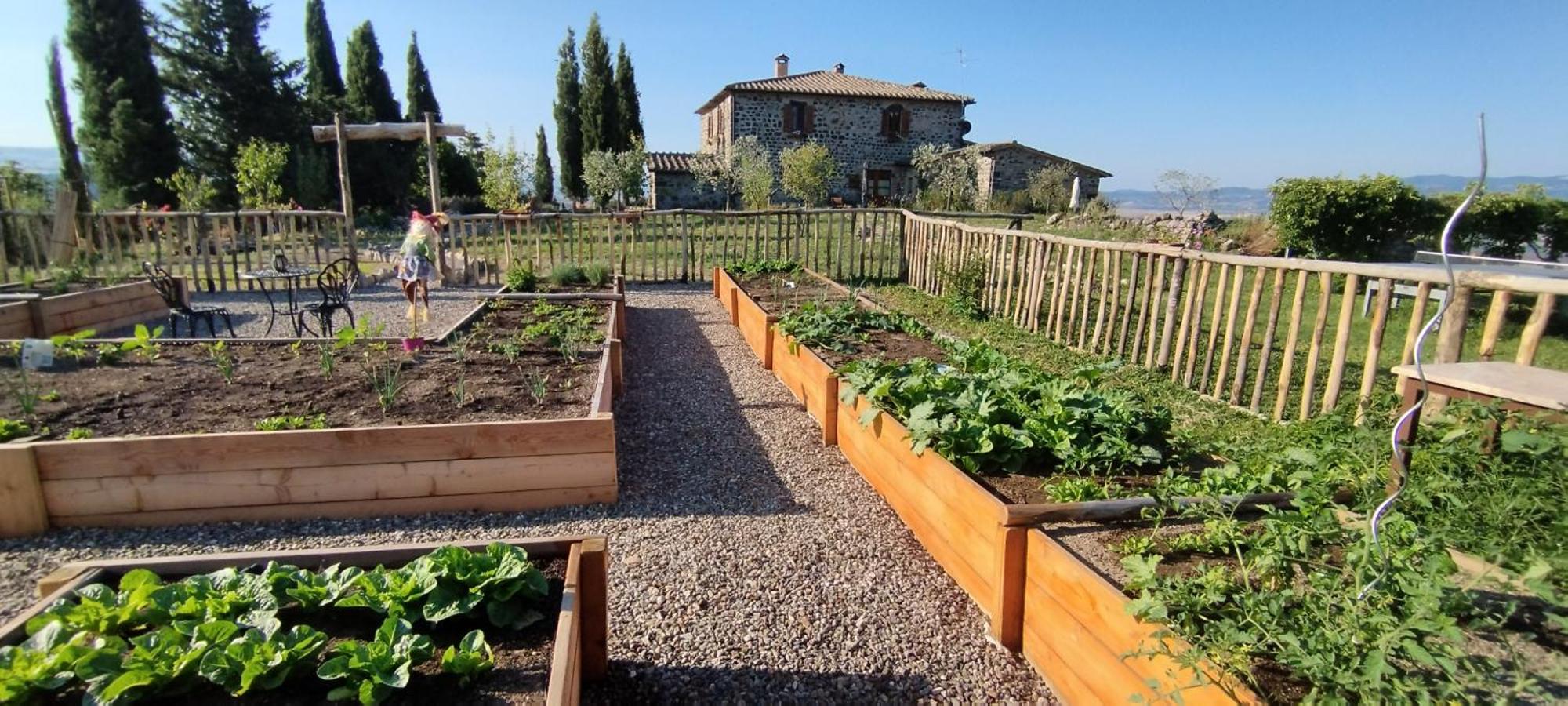 Casa Al Maestro B&B Radicofani Bagian luar foto